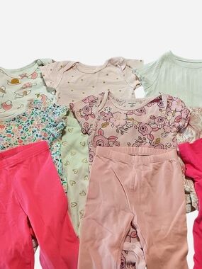 Gerber Baby Girls Pink Floral and Solid Matching Set